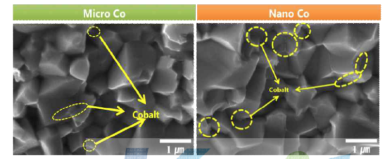 코발트 입자크기에 따른 소결체의 파단면 미세조직