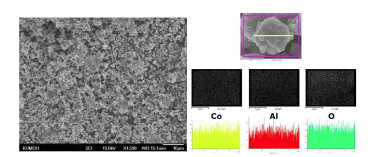 SEM image and EDS map of Co3O4 powder substituted Al