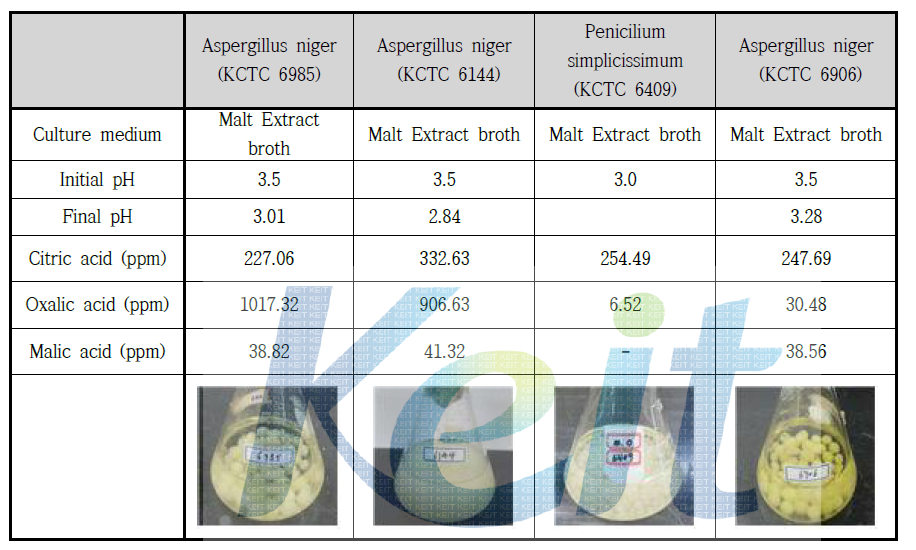 Optimum condition of the Citric acid production