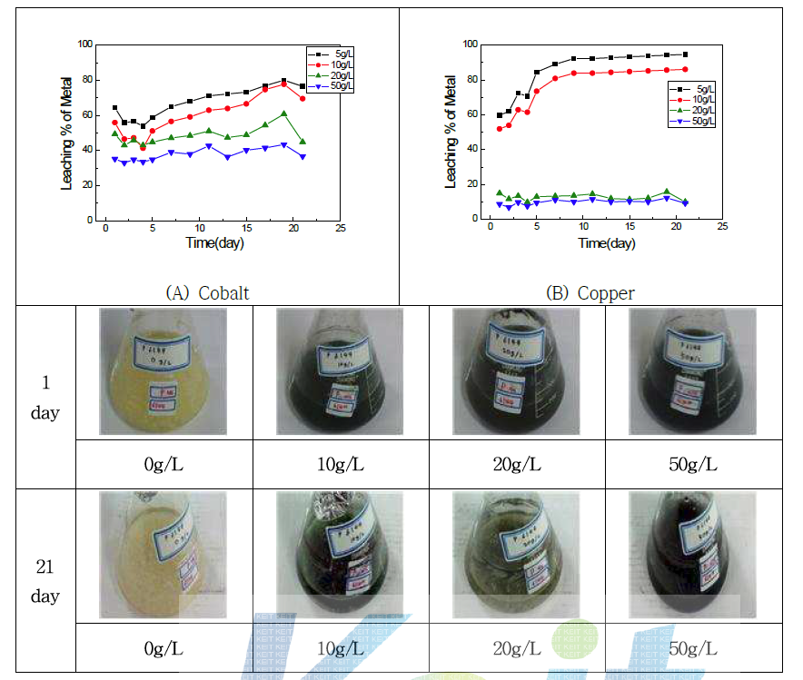 Leaching percent(%) of Cobalt and Copper at different pulp density. (KCTC6144 / Potato Dextrose broth / 24℃ / 180rpm)