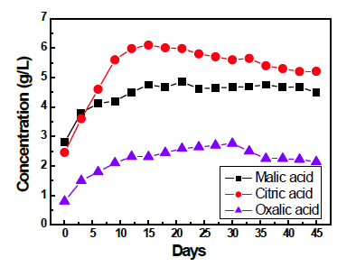 Conditions of the organic acid production. (A.niger KCTC 6985 / 24℃ / 160rpm / 45days)