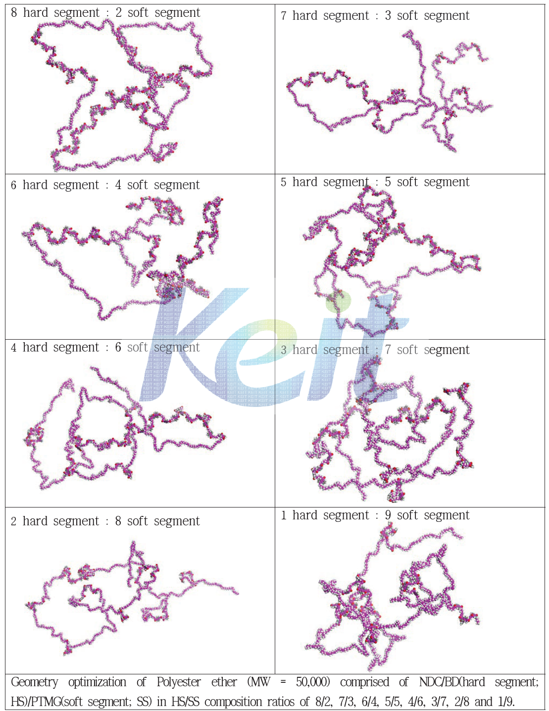 DMT/BD(hard segment; HS)/PTMG(soft segment; SS)계 모델링