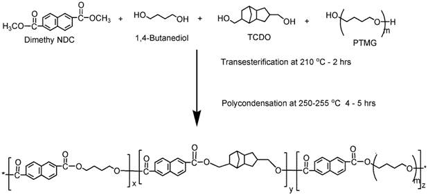 NDC/BD-TCDO/PTMG(MW 1000)계 copoly(ether ester) 탄성체 제조..