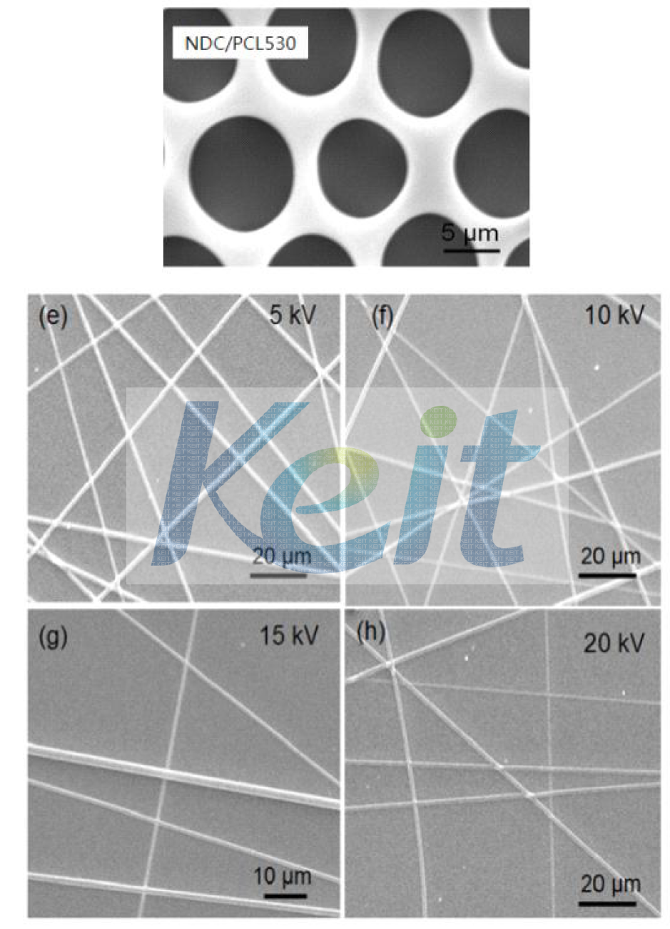 NDC/PCL530 Copoly(ether ester) 탄성체의 Honeycomb 패턴과 nanofiber 형상.