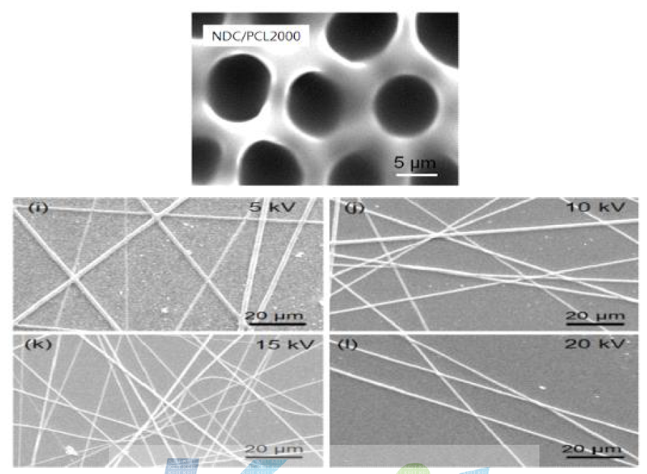 NDC/PCL2000 Copoly(ether ester) 탄성체의 Honeycomb 패턴과 nanofiber 형상