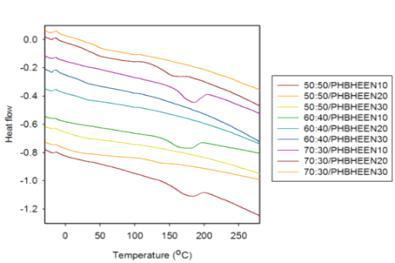 H/S, S/S 및 chain extender의 상대적 양을 달리하여 제조한 NDC/BD-HBHEE/PTMG (MW 1000)계 copoly(ether ester) 탄성체의 DSC 곡선.