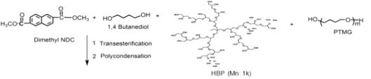 NDC/(BD/HBP 1k)/PTMG(MW 1000)계 copoly(ether ester) 탄성체 제조