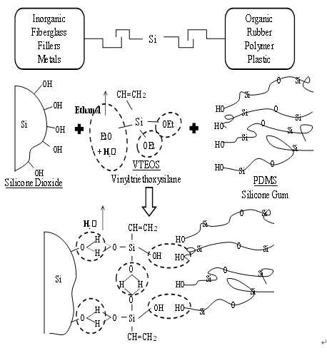 실리콘 분자 사슬과 VTEOS, 실리카 사이에 일어나는 수소 결합을 통한 네트워크