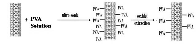 Fabrication of PVA-modified MWCNT