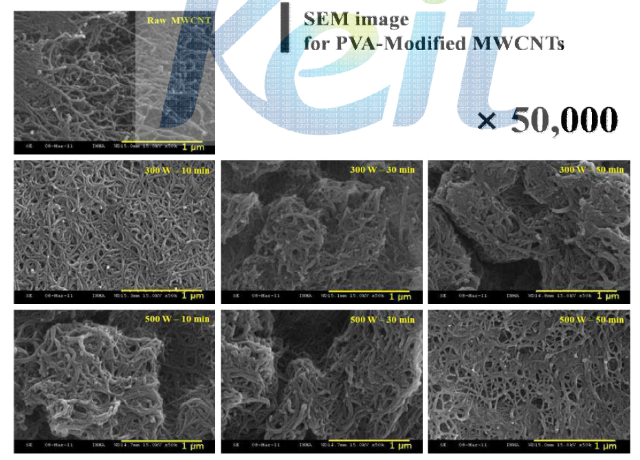 SEM Images of the surface of raw MWCNTs and PVA-modified MWCNTs (× 50,000)