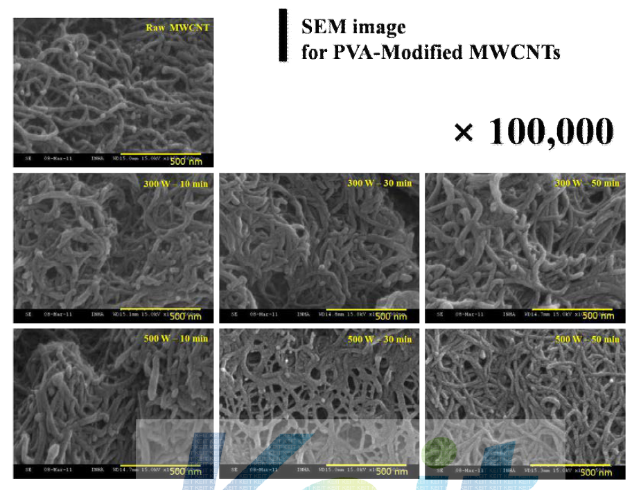 SEM Images of the surface of raw MWCNTs and PVA-modified MWCNTs (× 100,000)