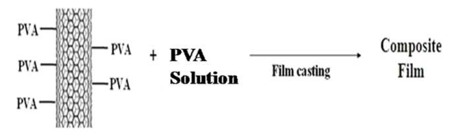 Fabrication of PVA-modified MWCNT/PVA composite film