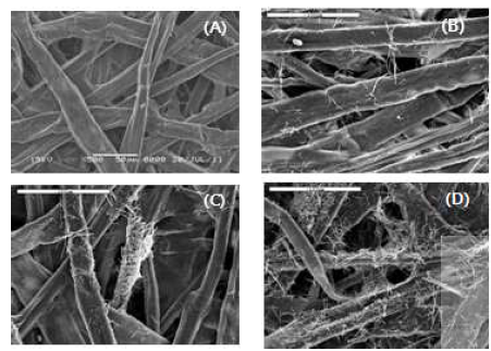 침지시간에 따른 닥섬유에 부착된 TiO nanorod의 SEM사진2