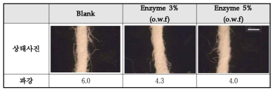 Enzyme 처리량에 따른 섬유 표면 상태 비교