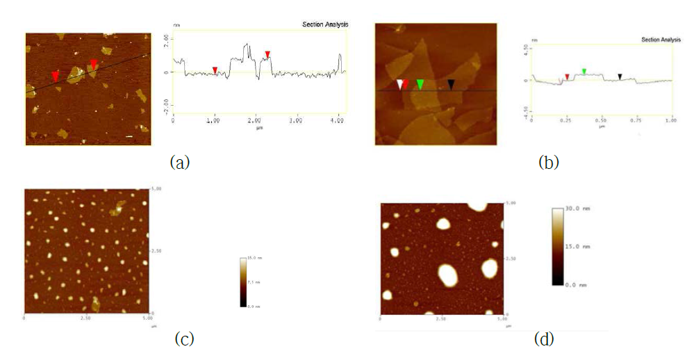 Tapping mode로 관찰한 GO 시편들의 Atomic Force Microscopy 사진: (a) NGO; (b) GO I; (c) GO II; (d) GO III