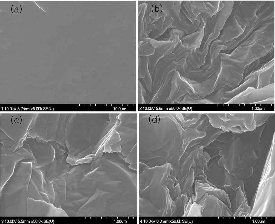 산화 그라펜 첨가량(wt%)을 달리한 폴리우레탄 탄성체의 SEM 사진