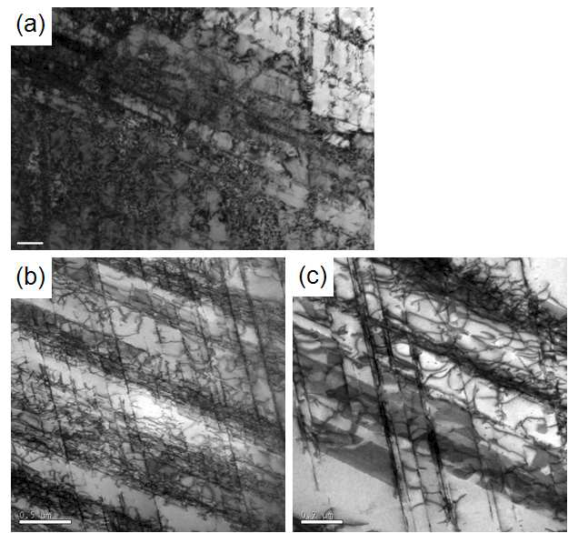 20% 냉간가공된 0.57N 소재의 (a) 응력완화 처리 전과 (b)-(c) 응력완화 처리 후의 TEM 미세조직