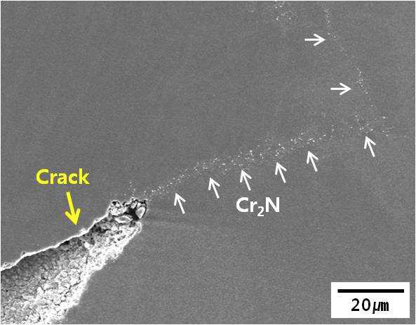 SEM micrograph showing Cr2N particles along the grain boundary after hot compression test at 800℃ with a strain rate of 0.01 s-1