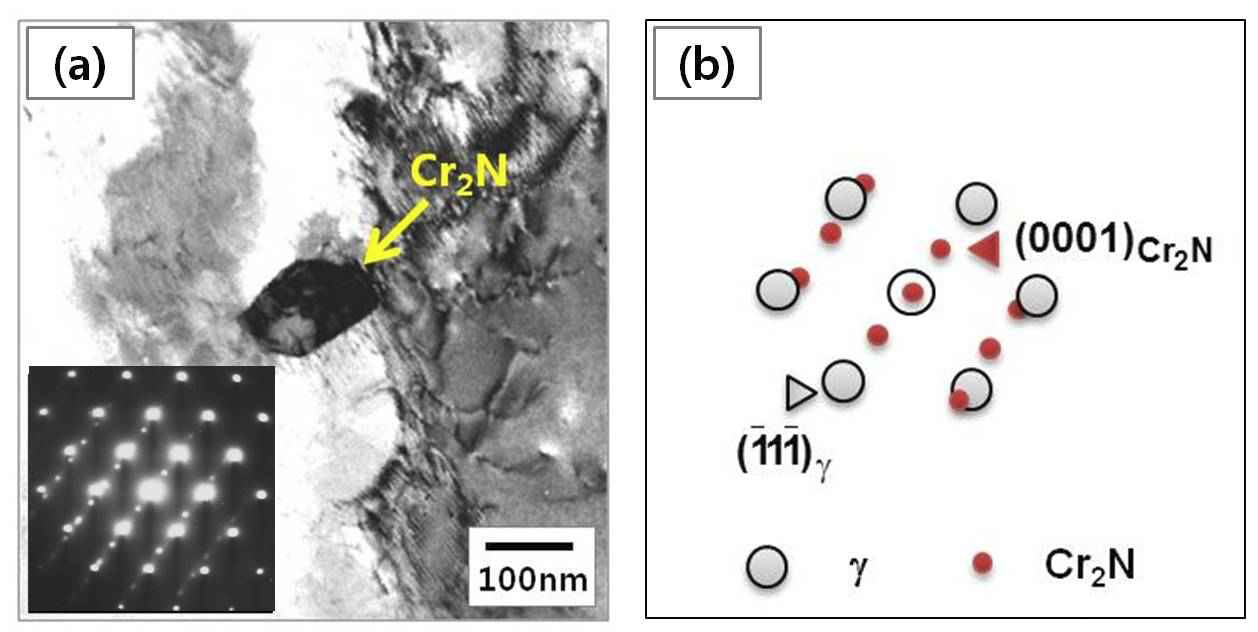 TEM analysis of Cr2N particle