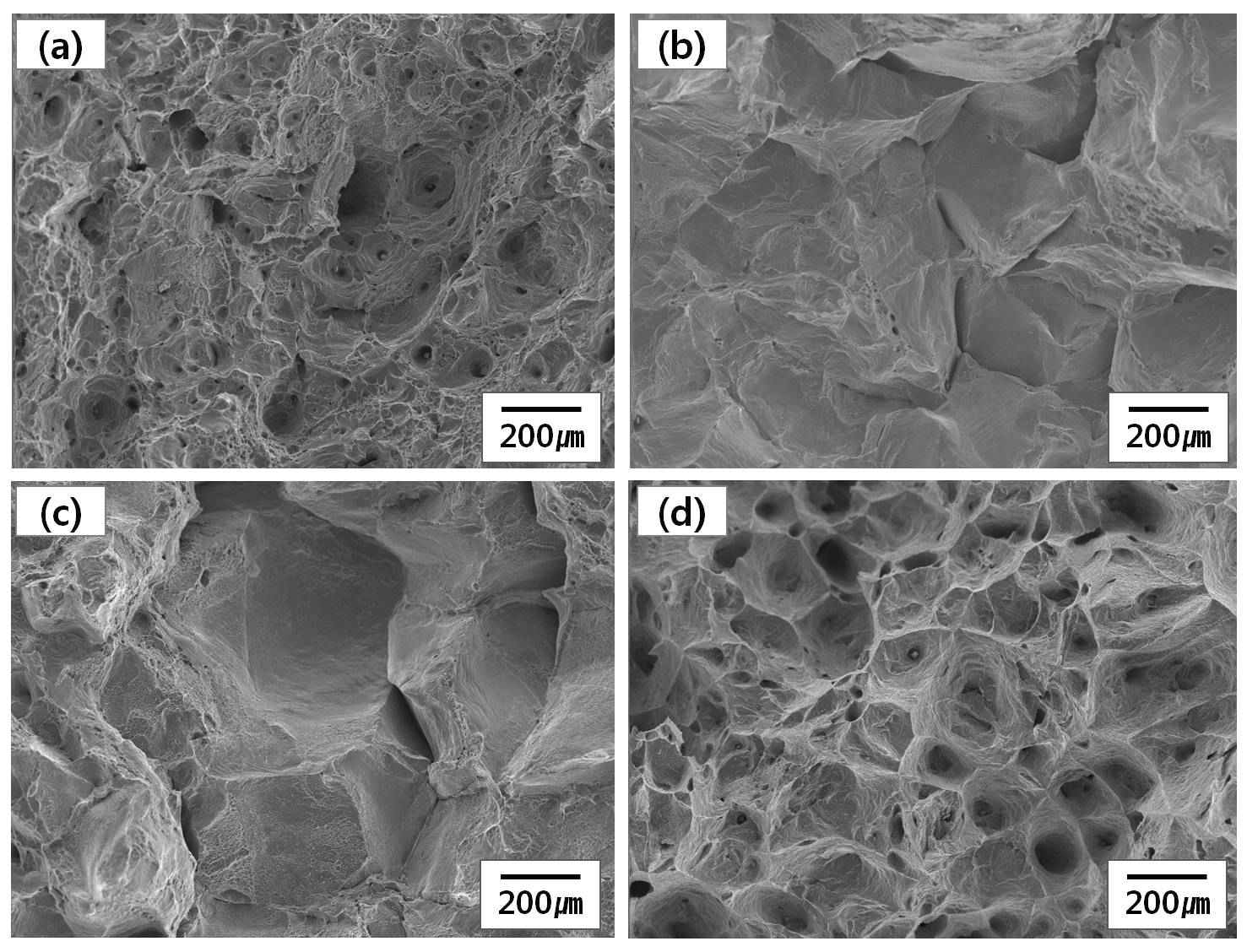 SEM micrographs of fractured surfaces after the hot ductility test at