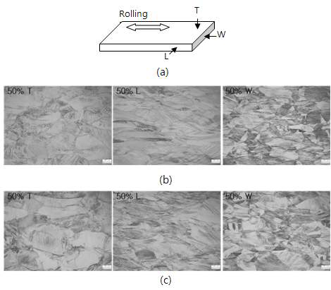 Microstructure at 50% rolling ratio