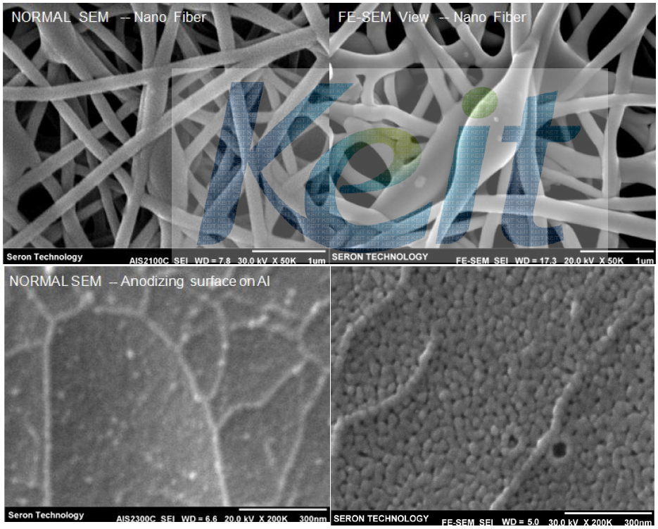 Normal SEM과 FE-SEM의 영상 비교