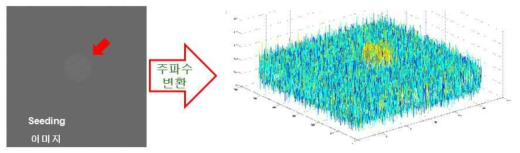 Seeding Image 주파수 변환