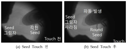 Seed Touch Image