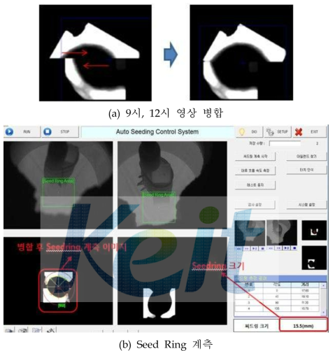 Seed Ring 크기 측정 결과