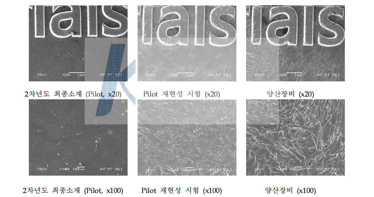 Pellet 미세조직 사진(SEM)