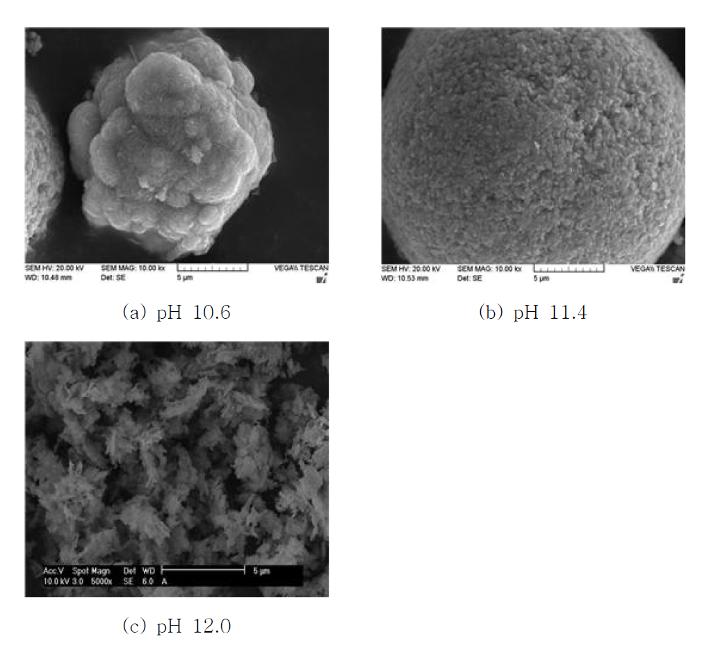 pH 별 침전 입자 특성의 변화 SEM images