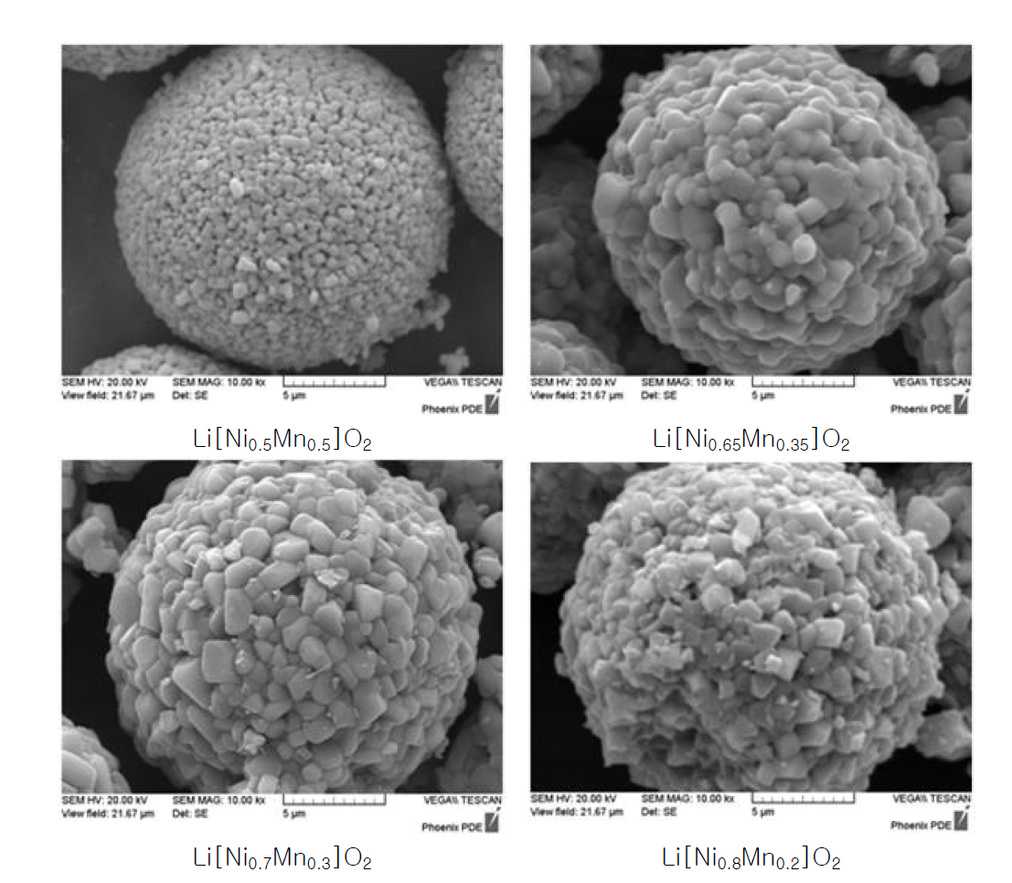 Co-free 층상계 양극재 조성별 형상