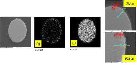 Φ30㎛ Ag plating wire 단면 SEM 및 EDS 분석