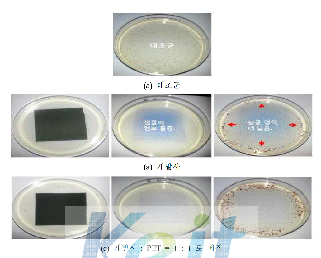 개발합연사 항균성 실험
