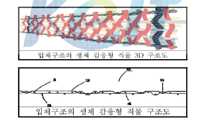 생체 감응형 직물 구조도