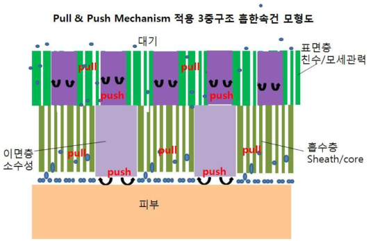 ⌜PULL & PUSH 메커니즘⌟의 모형도