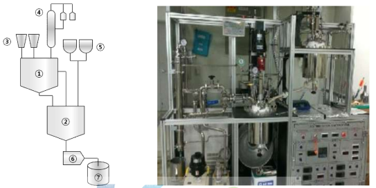 PET 중합 공정 모식도 및 Pilot 중합 테스트 설비