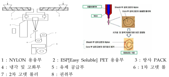 방사 공정 및 단면 모식도