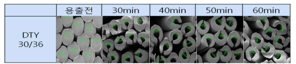 DTY 30/36 환편물의 용출시간에 따른 단면 SEM Image