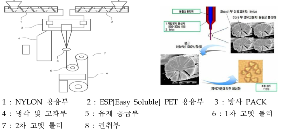 방사 공정 및 단면 모식도