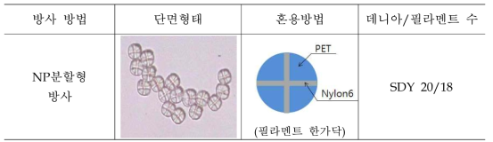 분할형태