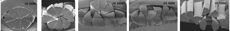 NYLON 용출분섬사 12/1 용출 시간별 단면사진