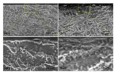 표면처리후 단면미세조직분석((a)무처리, (b)HFUP)