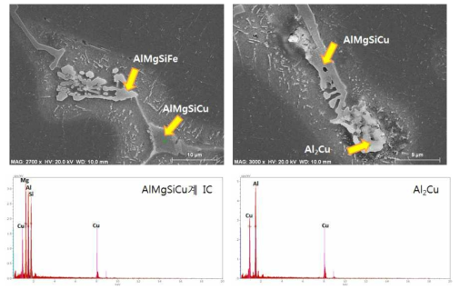 주사전자현미경 사진 : A1합금의 주조직후에 관찰되는 대표적인 Cu, Mg계 금속간화합물