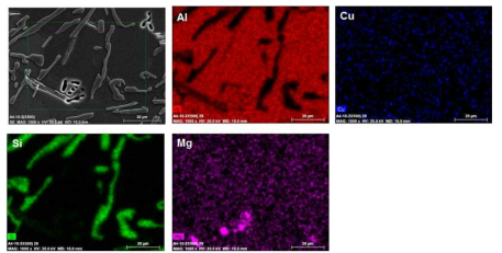 SST-2 (530 °C, 4h) 용체화처리 시킨 A1 합금에 대한 EDS 원소분포도
