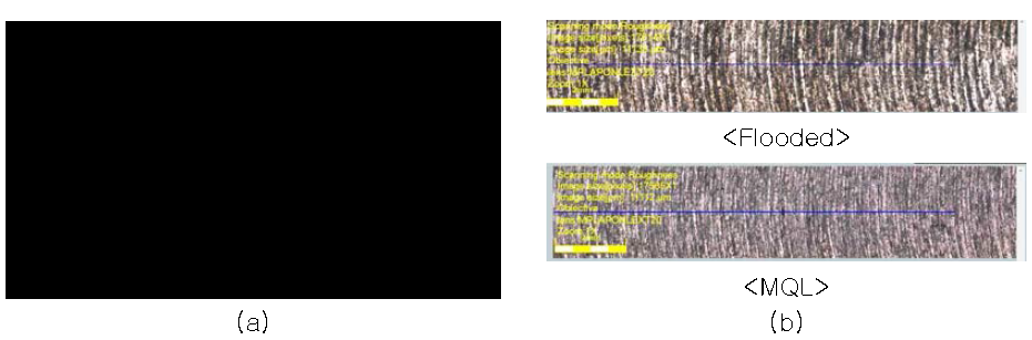 (a) white light interferometer, (b) 절삭면 사진