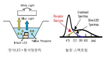 황색 형광체 적용 백색 발광 스펙트럼