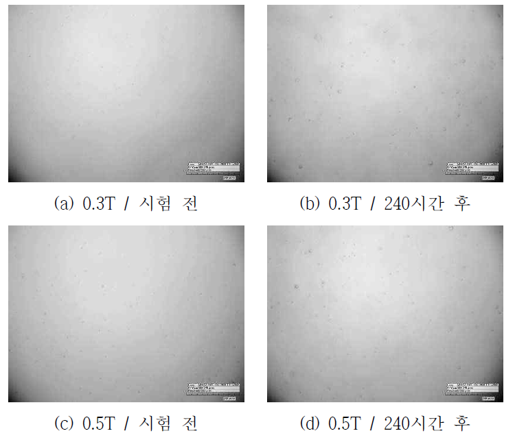 내습시험 전후 Video Microscope 사진 비교