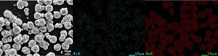 코팅된 활물질의 SEM과 EDS mapping 이미지