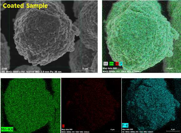 코팅물질의 EDS mapping 이미지